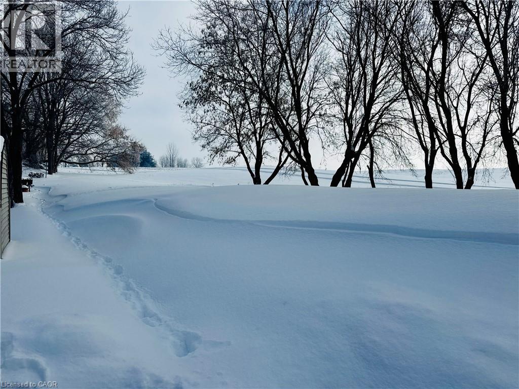 85 Elm Street, Simcoe, Ontario  N3Y 3B7 - Photo 8 - 40802892