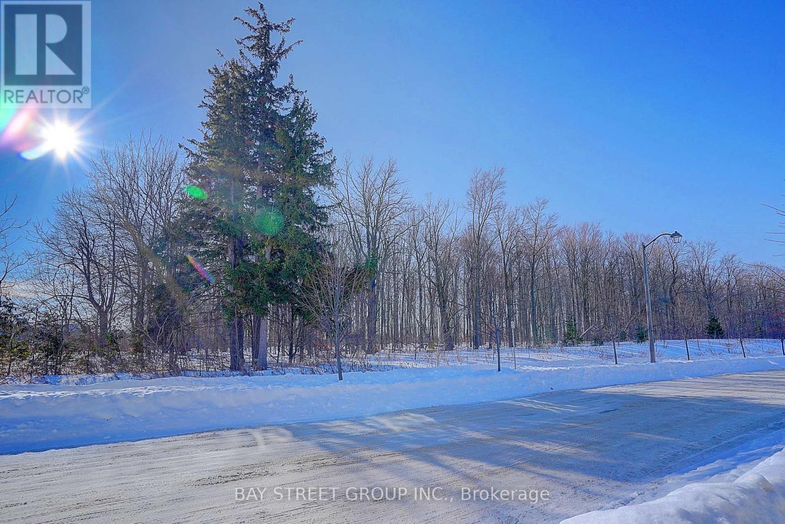 86 Autumn Glow Drive, Markham, Ontario  L6B 0P6 - Photo 5 - N12757116