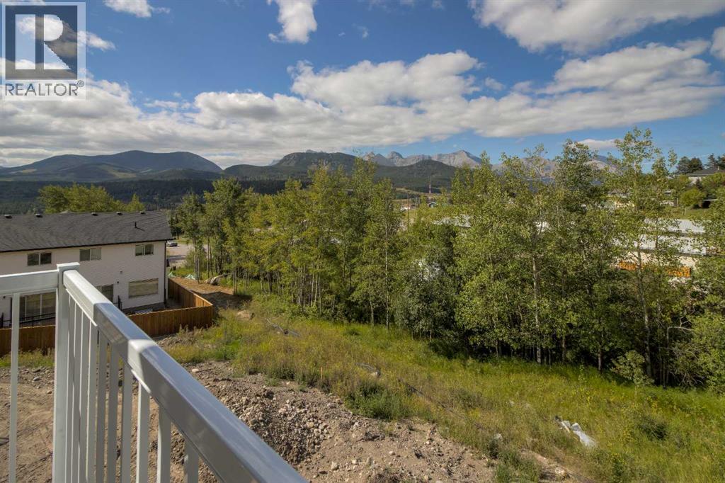 8602 25 Avenue, Coleman, Alberta  T0K 0M0 - Photo 28 - A2283579