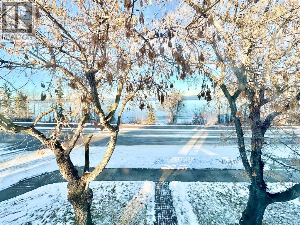 10123 Churchill Drive, Lac La Biche, Alberta  T0A 2C0 - Photo 45 - A2272278