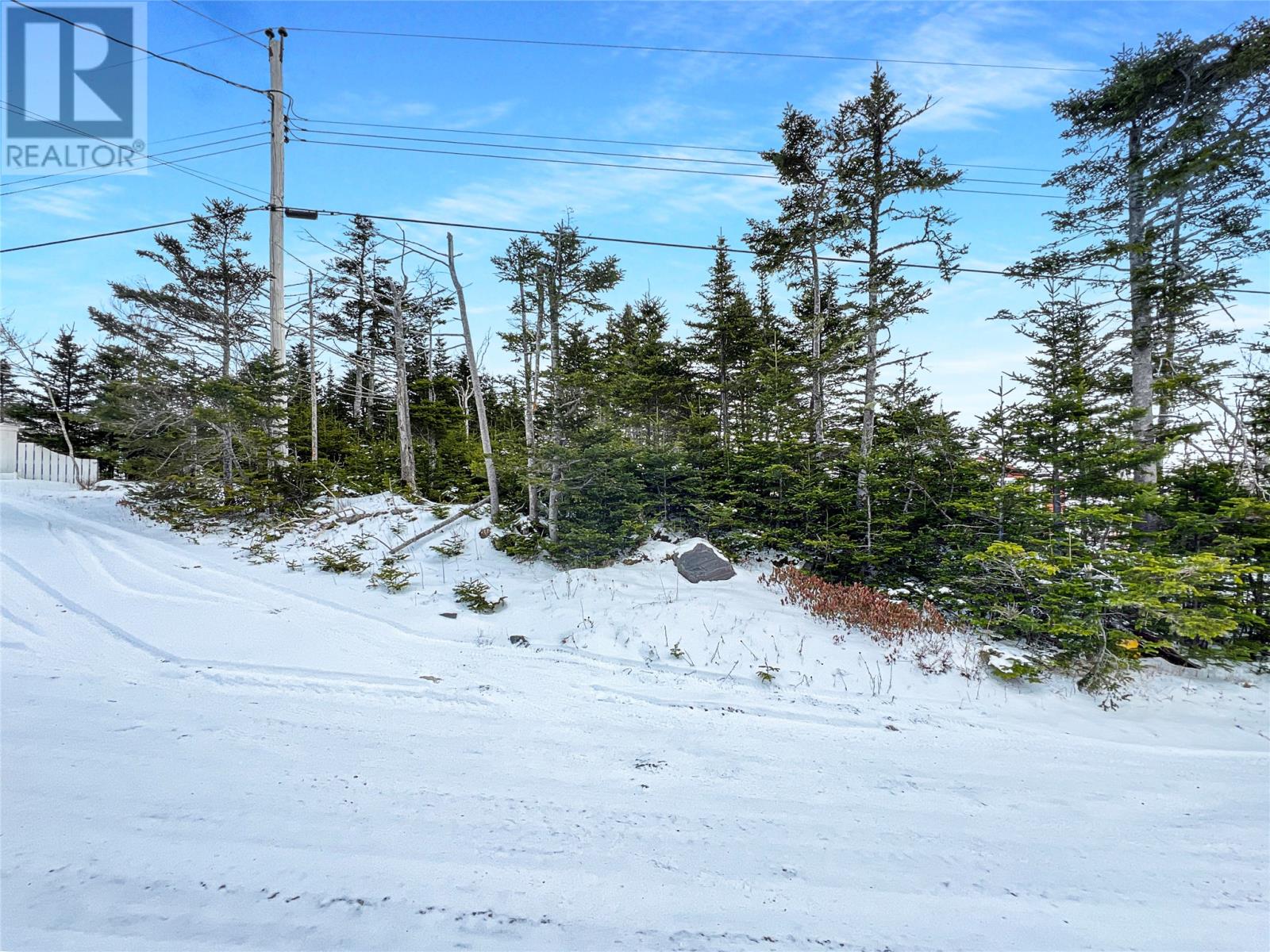 206 Vineland Road, Salmonier, Newfoundland & Labrador  A0A 2R0 - Photo 3 - 1294285