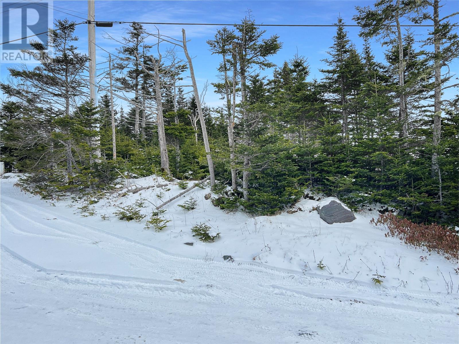 206 Vineland Road, Salmonier, Newfoundland & Labrador  A0A 2R0 - Photo 8 - 1294285