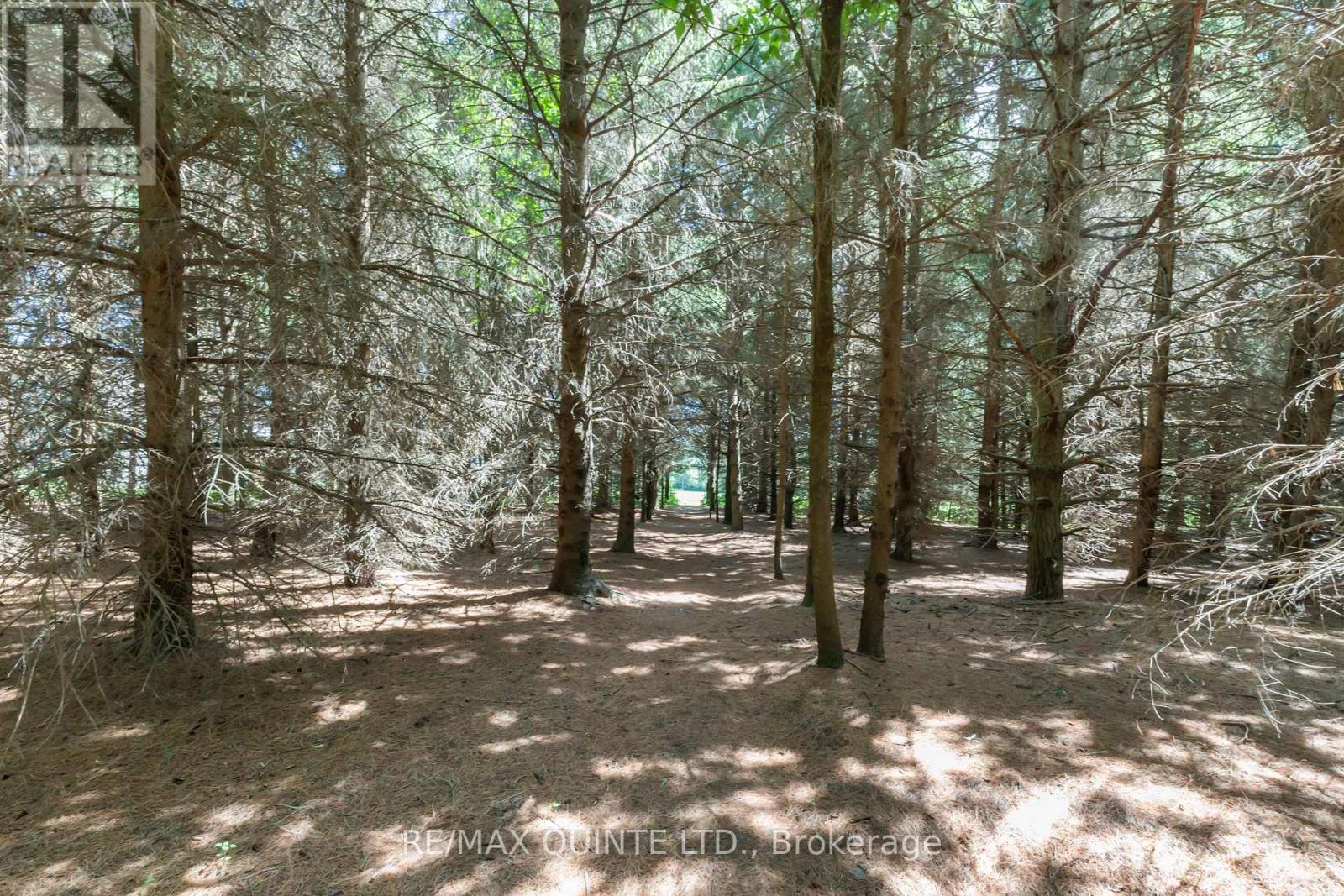 839 County 64 Road, Brighton, Ontario  K0K 1H0 - Photo 33 - X12760524