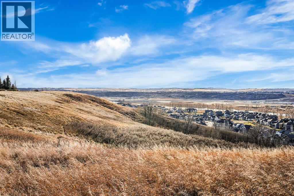 166 Cranridge Terrace Se, Calgary, Alberta  T3M 0H9 - Photo 43 - A2284131