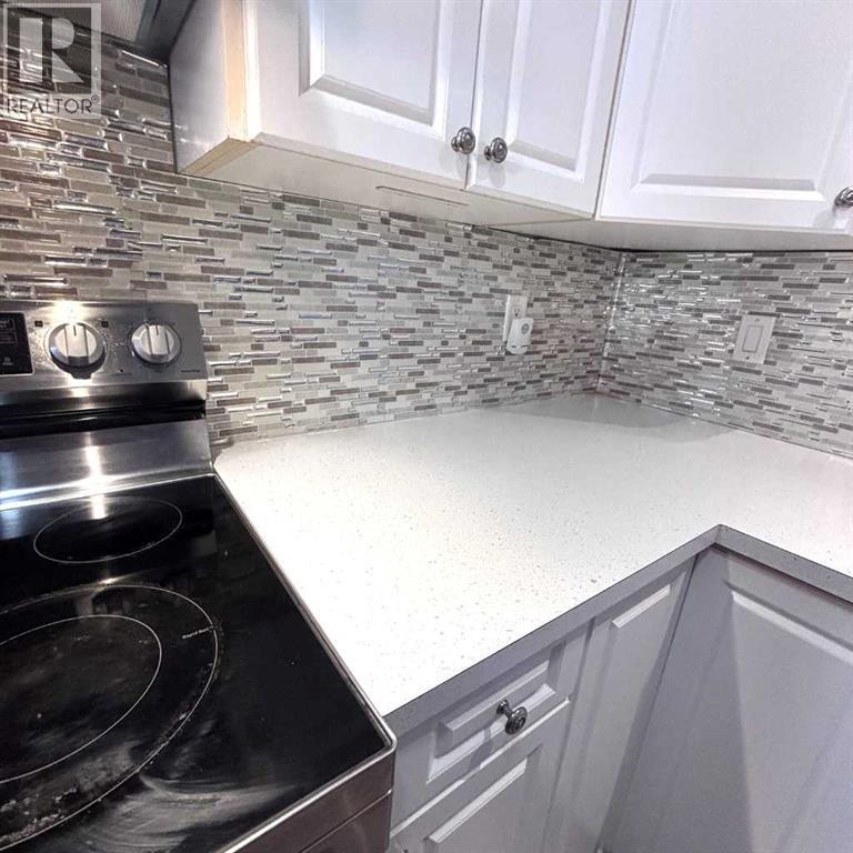 9213 115 Avenue, Grande Prairie, Alberta  T8V 7E8 - Photo 12 - A2282670