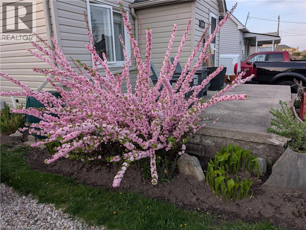 1170 Union Street, Kitchener, Ontario  N2H 6K2 - Photo 50 - 40802464