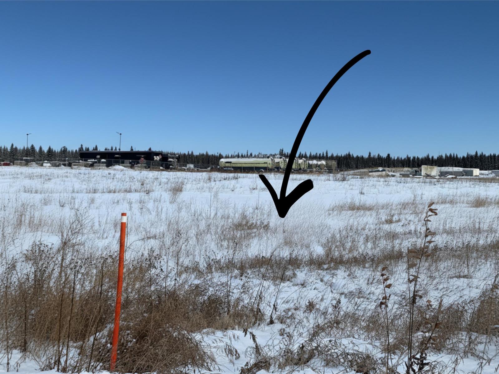 3699  30 St, Whitecourt, Alberta  T7S 1P5 - Photo 12 - 44030998