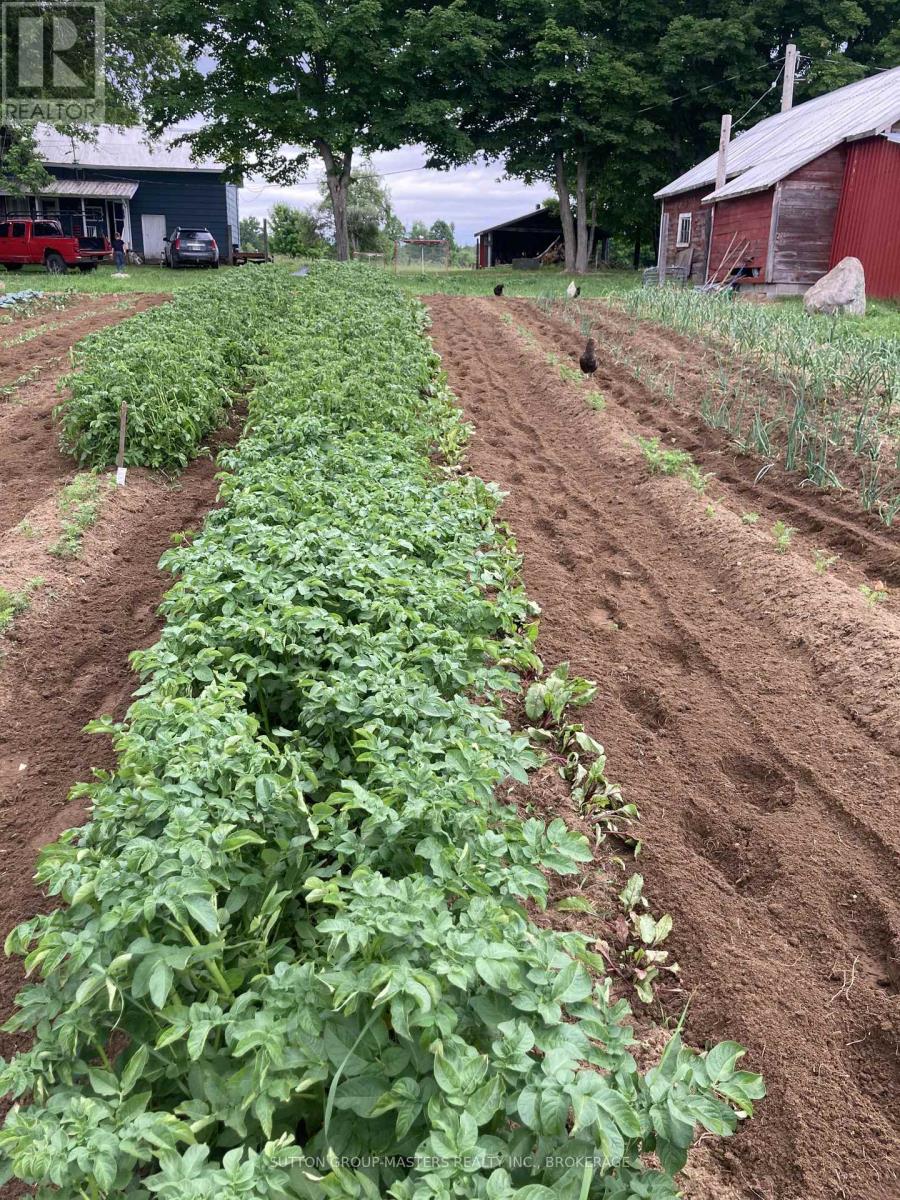 191 Fifth Concession Road S, Addington Highlands, Ontario  K0H 1P0 - Photo 41 - X12760754