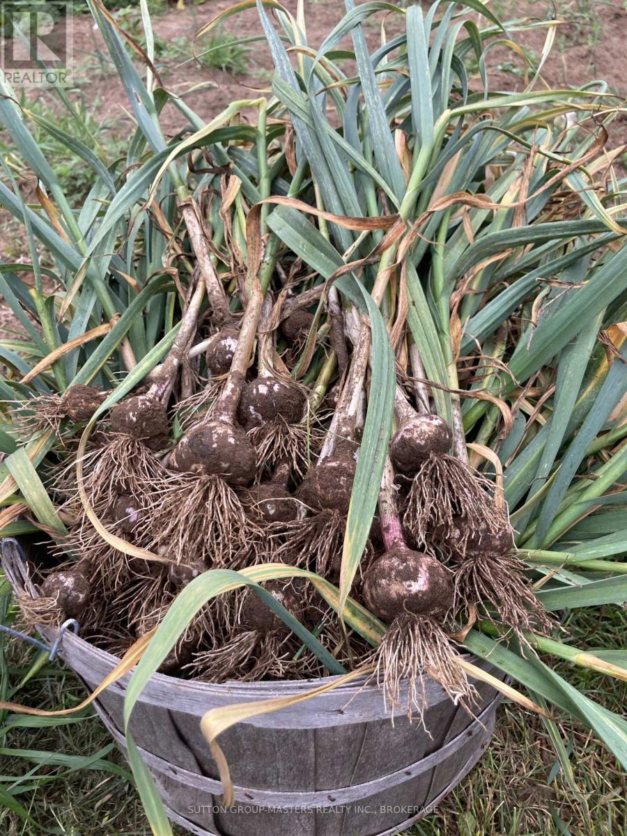 191 Fifth Concession Road S, Addington Highlands, Ontario  K0H 1P0 - Photo 43 - X12760754