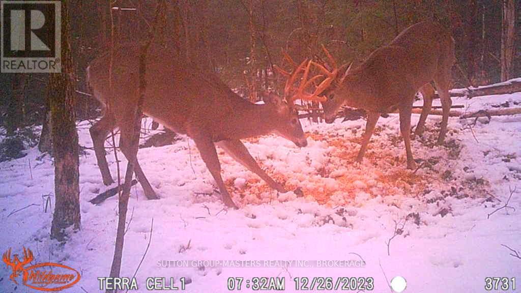 191 Fifth Concession Road S, Addington Highlands, Ontario  K0H 1P0 - Photo 44 - X12760754