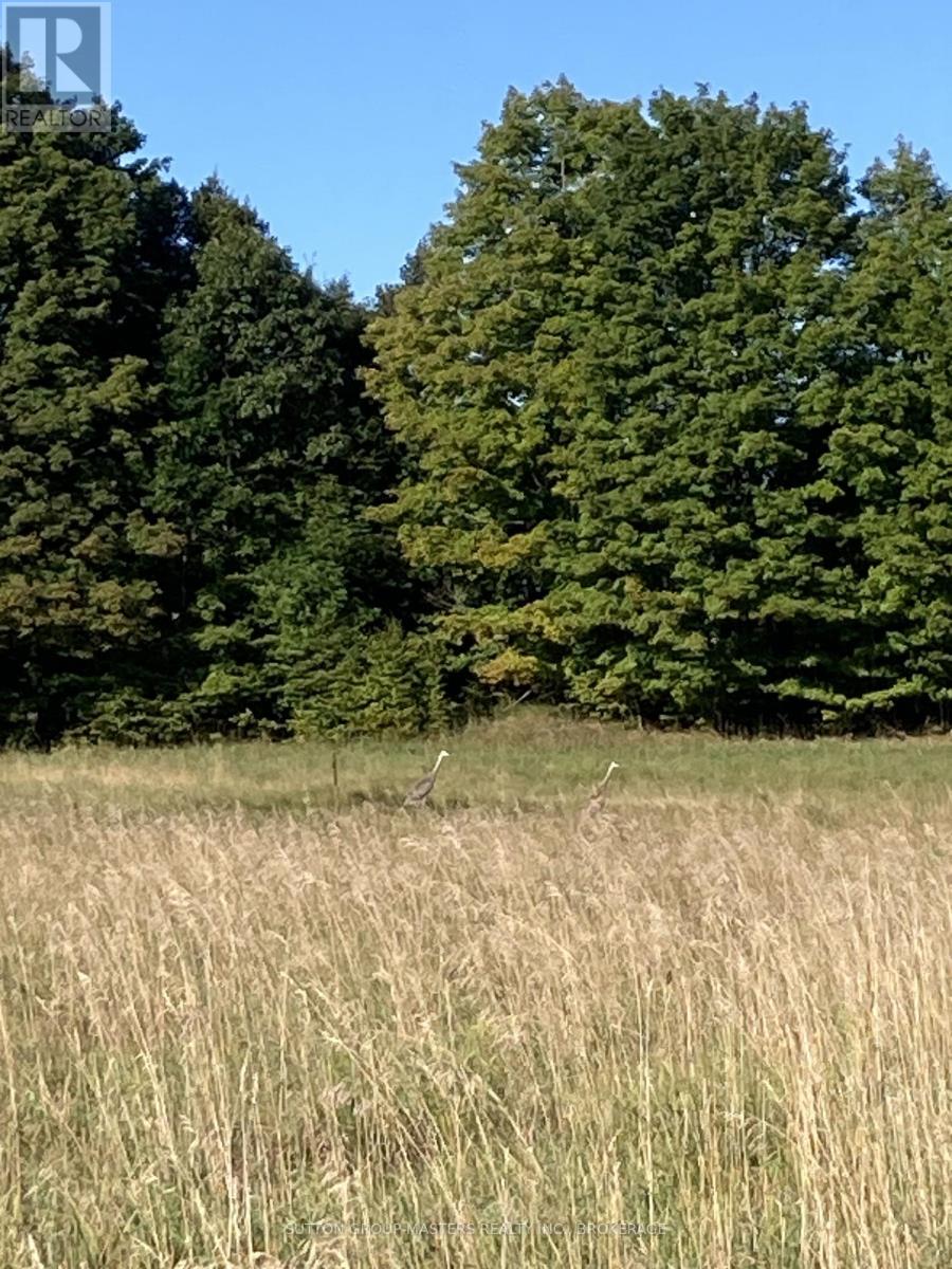 191 Fifth Concession Road S, Addington Highlands, Ontario  K0H 1P0 - Photo 45 - X12760754