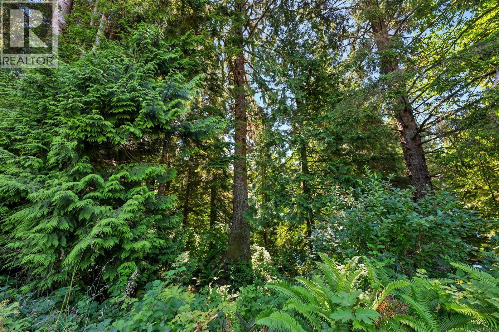 Lot 1 West Coast Rd, Sooke, British Columbia  V9Z 1G9 - Photo 59 - 1024432