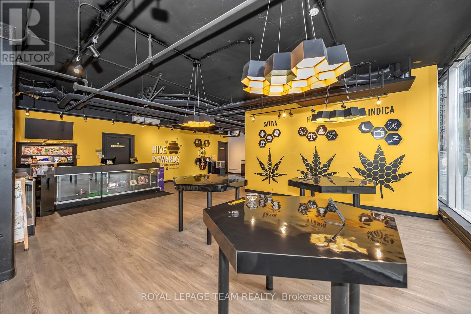 101 - 179 George Street, Ottawa, Ontario  K1N 1J8 - Photo 11 - X12564330