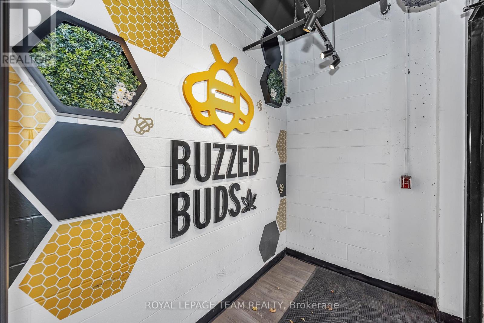 101 - 179 George Street, Ottawa, Ontario  K1N 1J8 - Photo 9 - X12564330