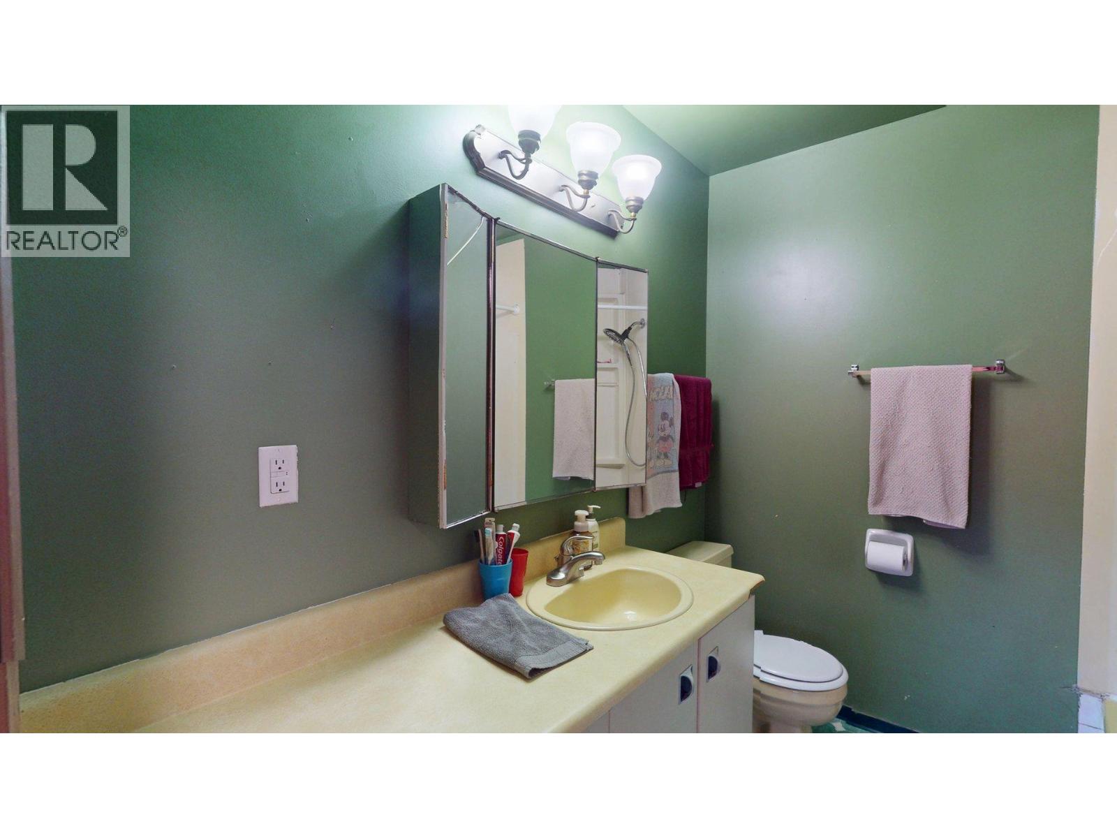 1315 Alpine Drive, Elkford, British Columbia  V0B 1H0 - Photo 23 - 10373048