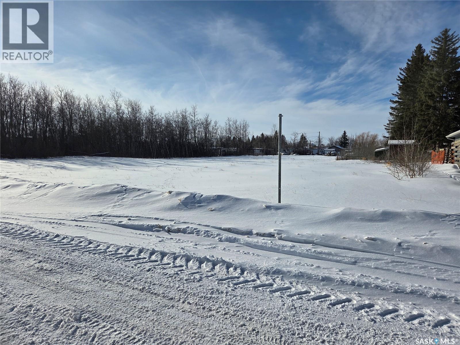 3456 100a Street, Tisdale, Saskatchewan  S0E 1T0 - Photo 3 - SK027968