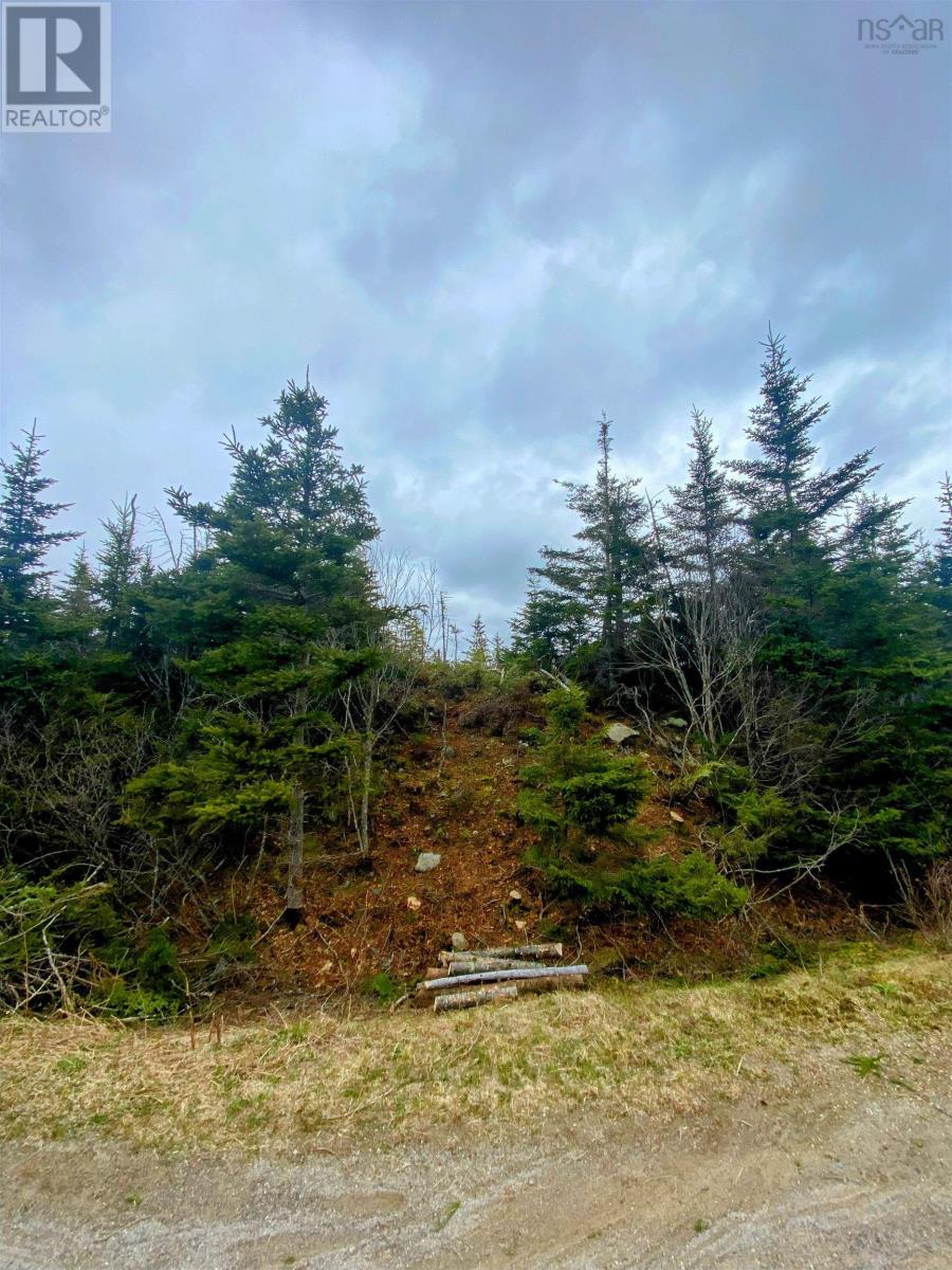 Lot 87 Wiskubok Crescent, Clam Bay, Nova Scotia  B0J 1Y0 - Photo 8 - 202602188