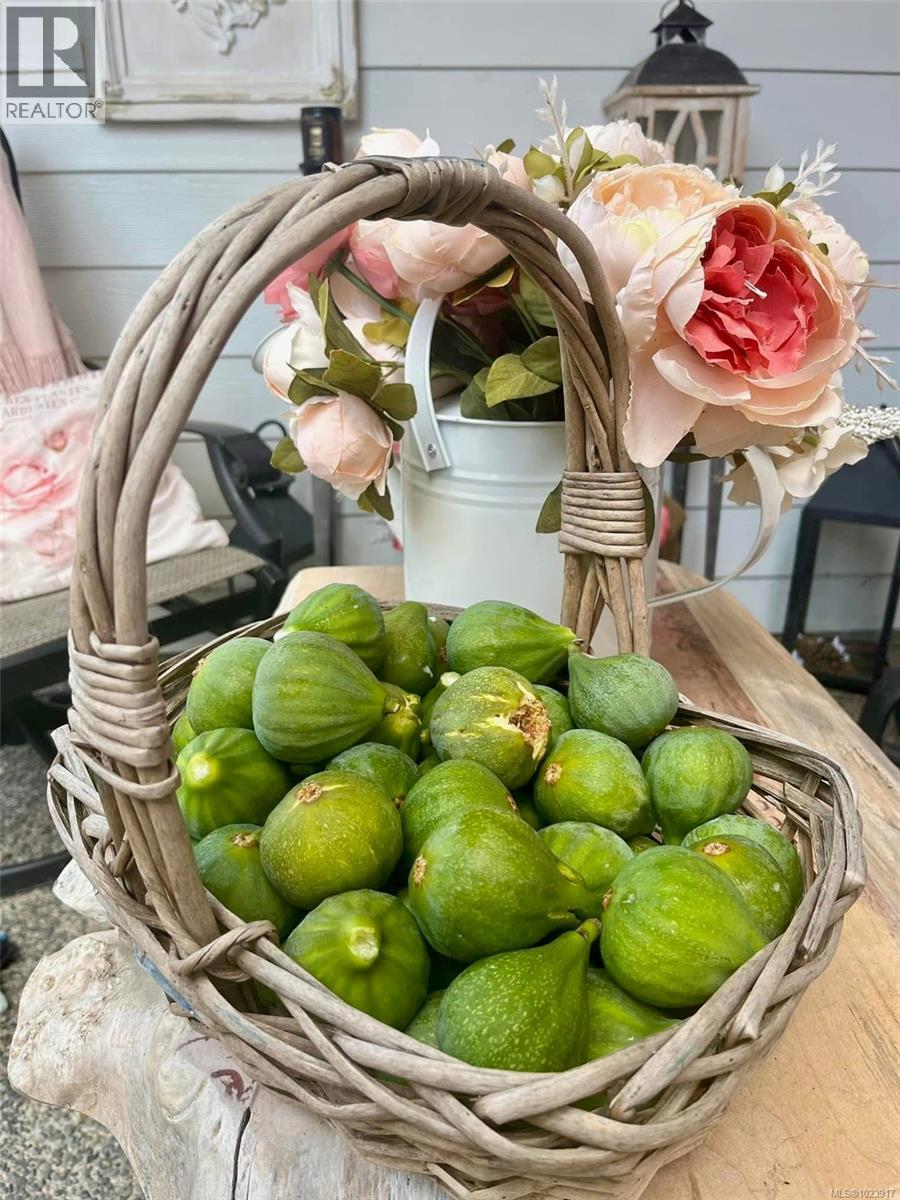 511 Panorama Pl, Parksville, British Columbia  V9P 1A4 - Photo 68 - 1023917