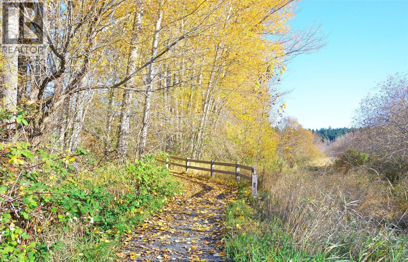 228 4490 Chatterton Way N, Saanich, British Columbia  V8X 5H7 - Photo 29 - 1023932