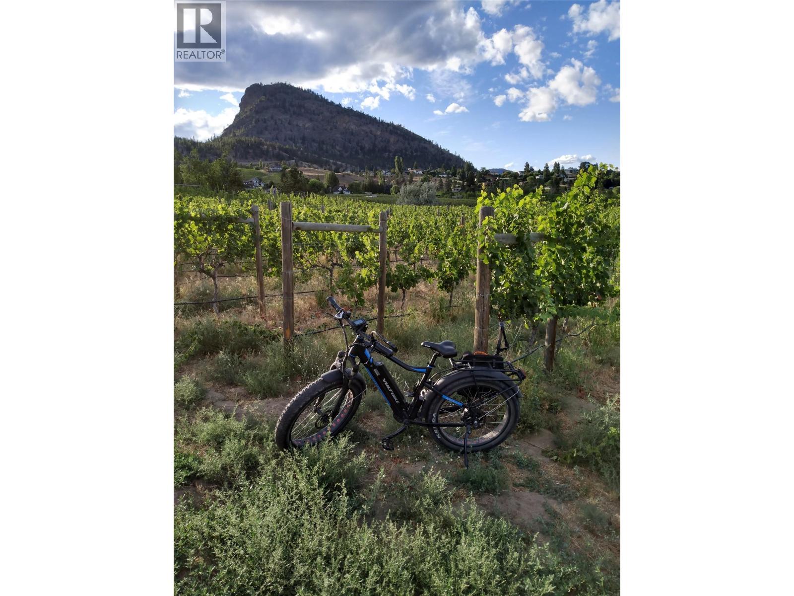 18665 Mckenzie Court Summerland Photo 10