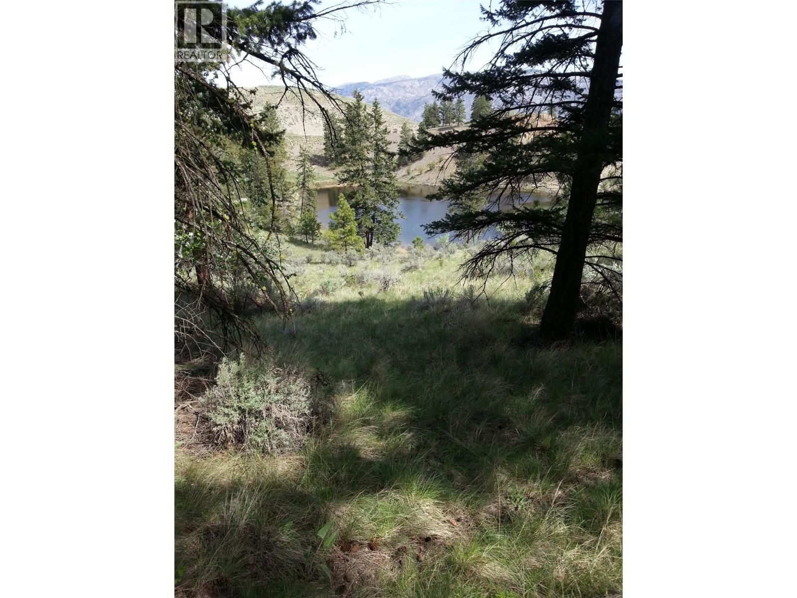 18665 Mckenzie Court Summerland Photo 9