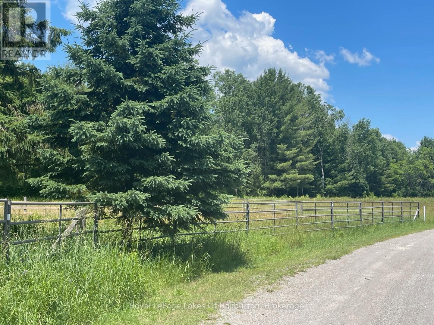 1036 Privet Drive, Minden Hills, Ontario  K0M 2A1 - Photo 29 - X12761172