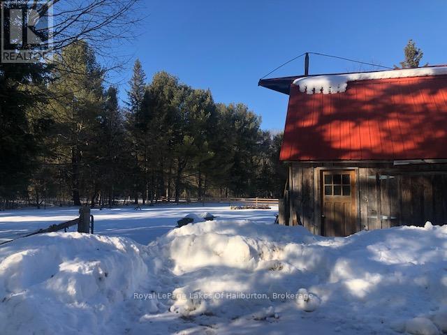 1036 Privet Drive, Minden Hills, Ontario  K0M 2A1 - Photo 7 - X12761172