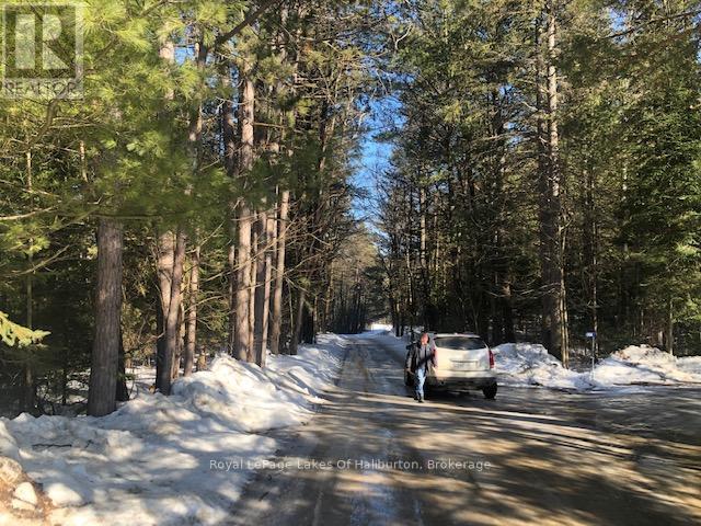 1036 Privet Drive, Minden Hills, Ontario  K0M 2A1 - Photo 8 - X12761172