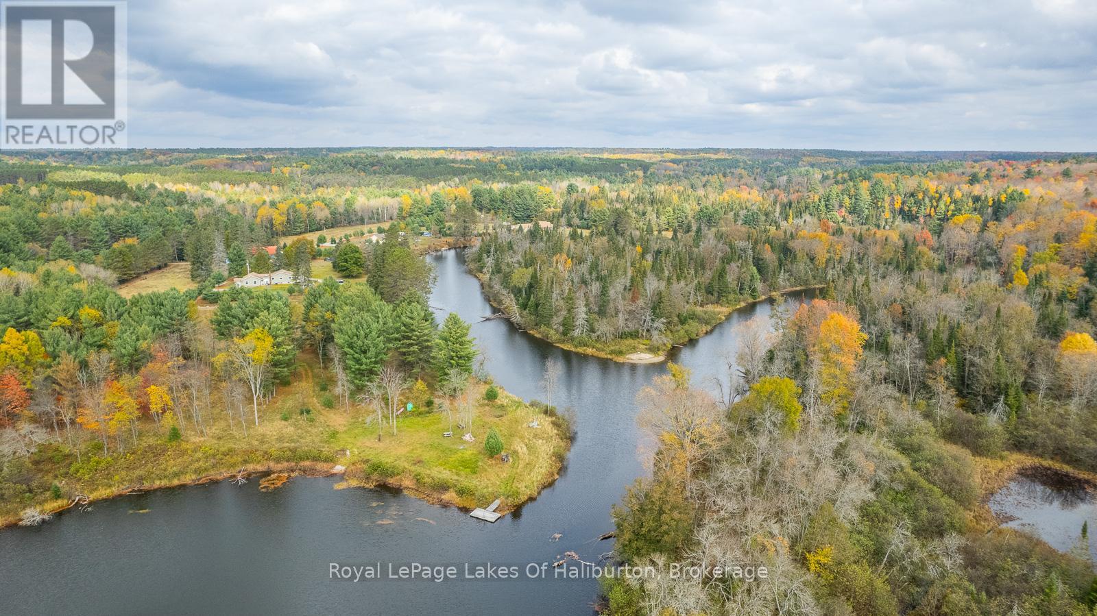 1036 Privet Drive, Minden Hills, Ontario  K0M 2A1 - Photo 5 - X12761172