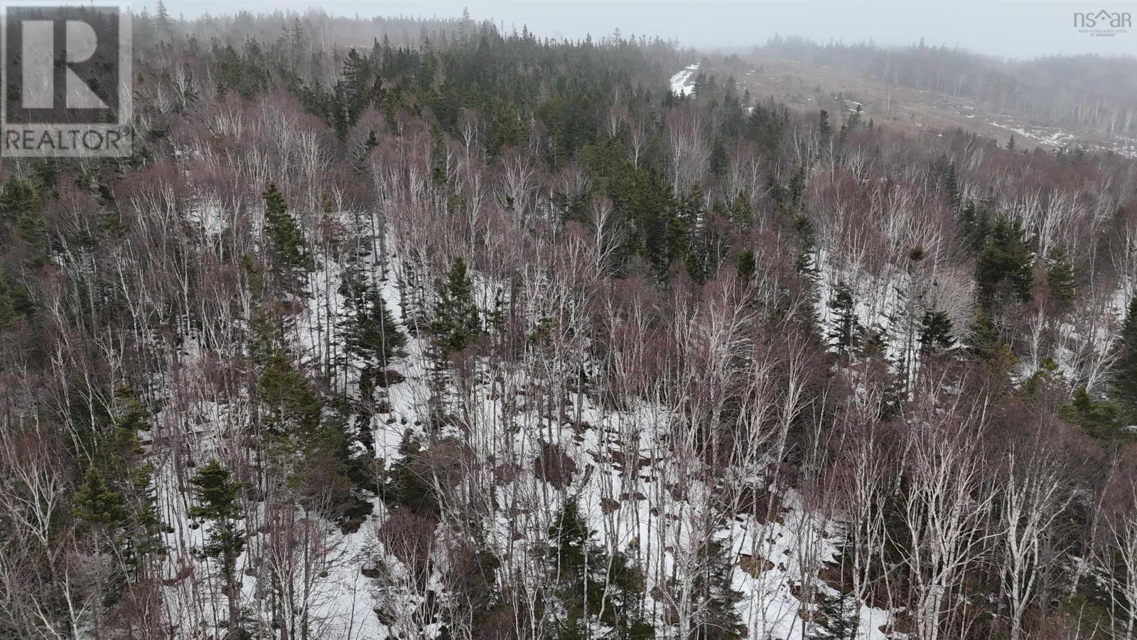 29 Acres West Bay Highway, St. Georges Channel, Nova Scotia  B0E 3K0 - Photo 28 - 202602190