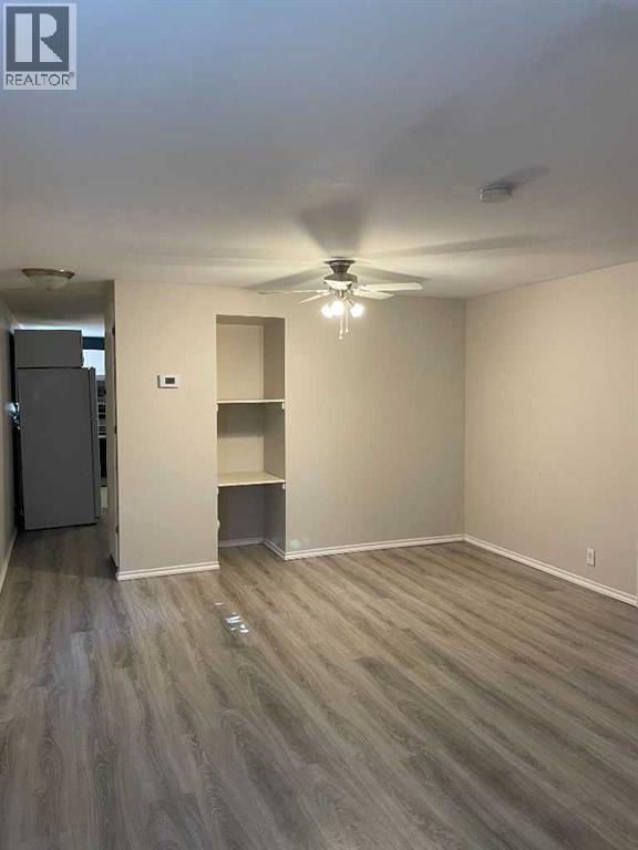 202 Railway Avenue, Veteran, Alberta  T0C 2S0 - Photo 20 - A2247243