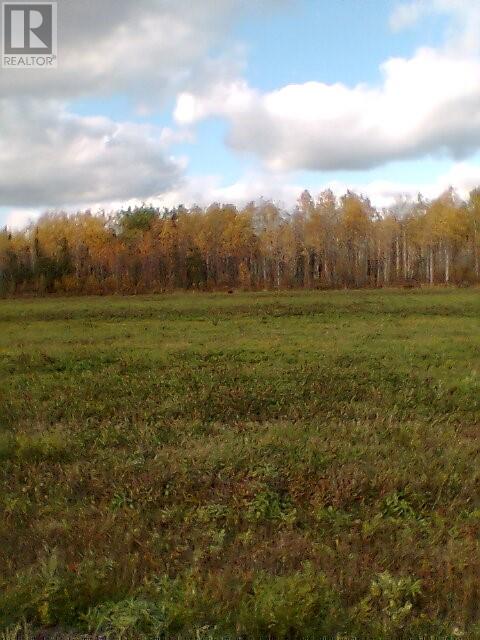 429 Pothier Road Unit# & Pcl.4734, St. Charles, Ontario  P0M 2W0 - Photo 29 - 2124123