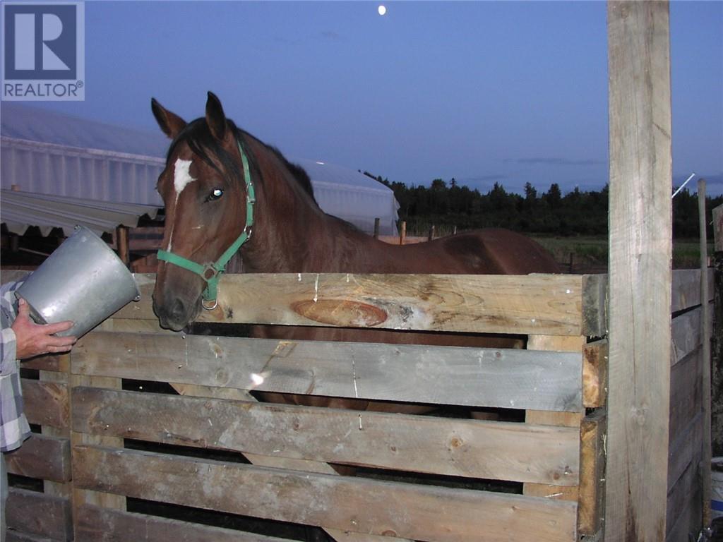 429 Pothier Road Unit# & Pcl.4734, St. Charles, Ontario  P0M 2W0 - Photo 38 - 2124123