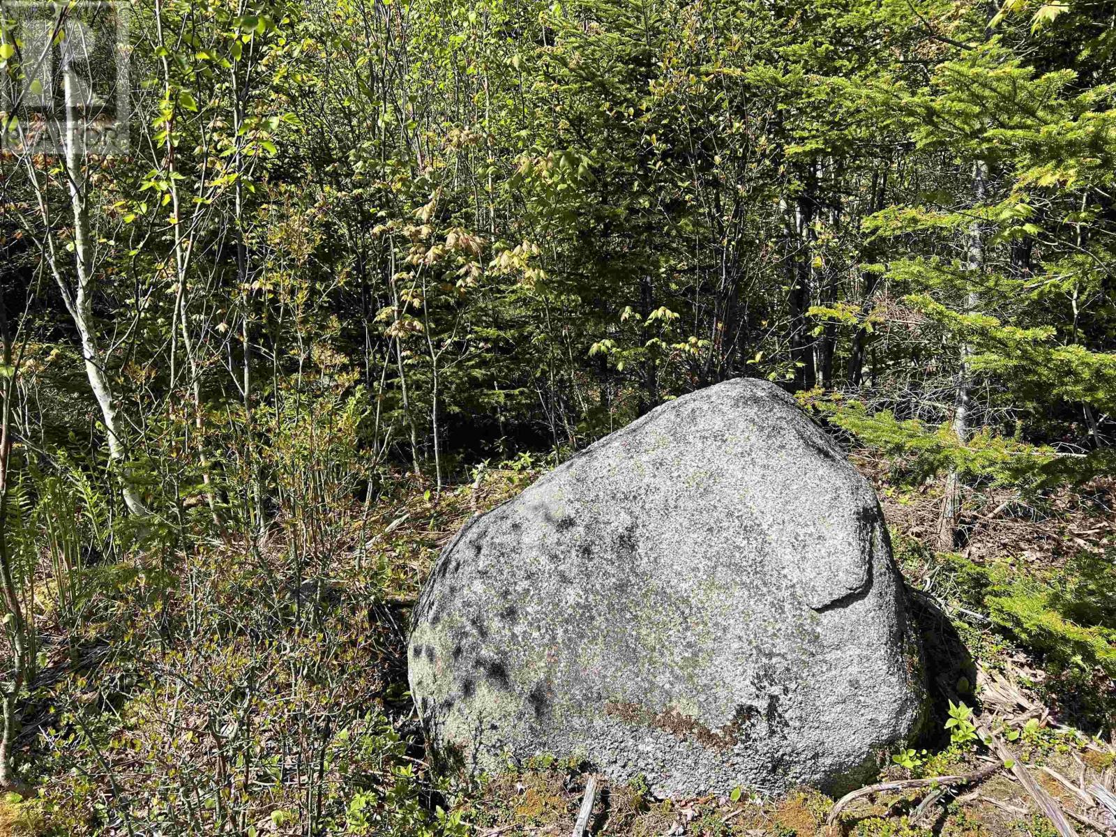 Lot 2a Highway 329, Deep Cove, Nova Scotia  B0J 1T0 - Photo 11 - 202514361