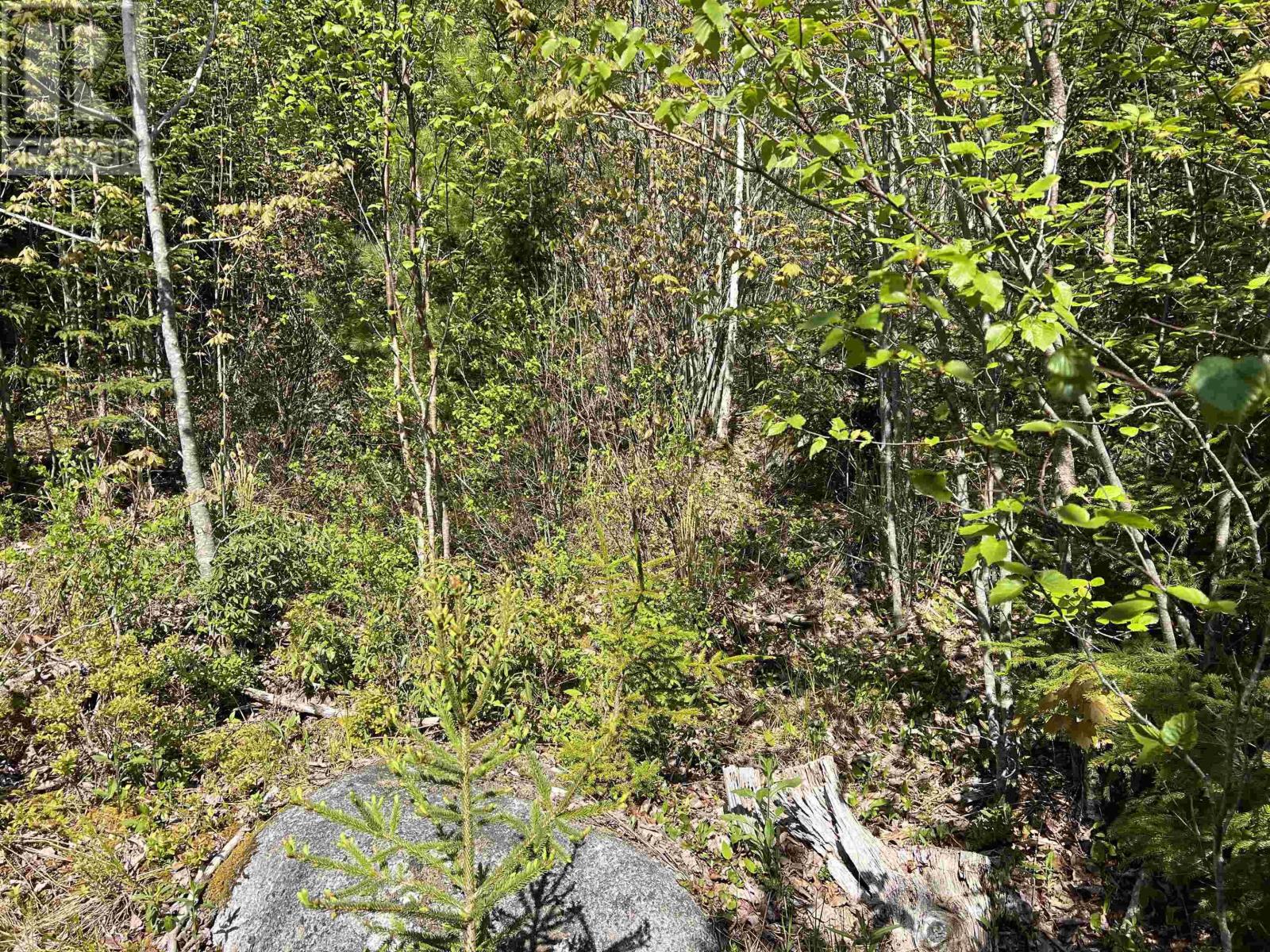 Lot 2a Highway 329, Deep Cove, Nova Scotia  B0J 1T0 - Photo 14 - 202514361