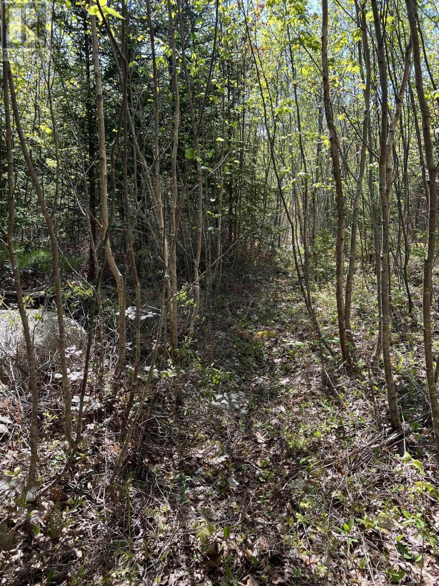 Lot 2a Highway 329, Deep Cove, Nova Scotia  B0J 1T0 - Photo 6 - 202514361