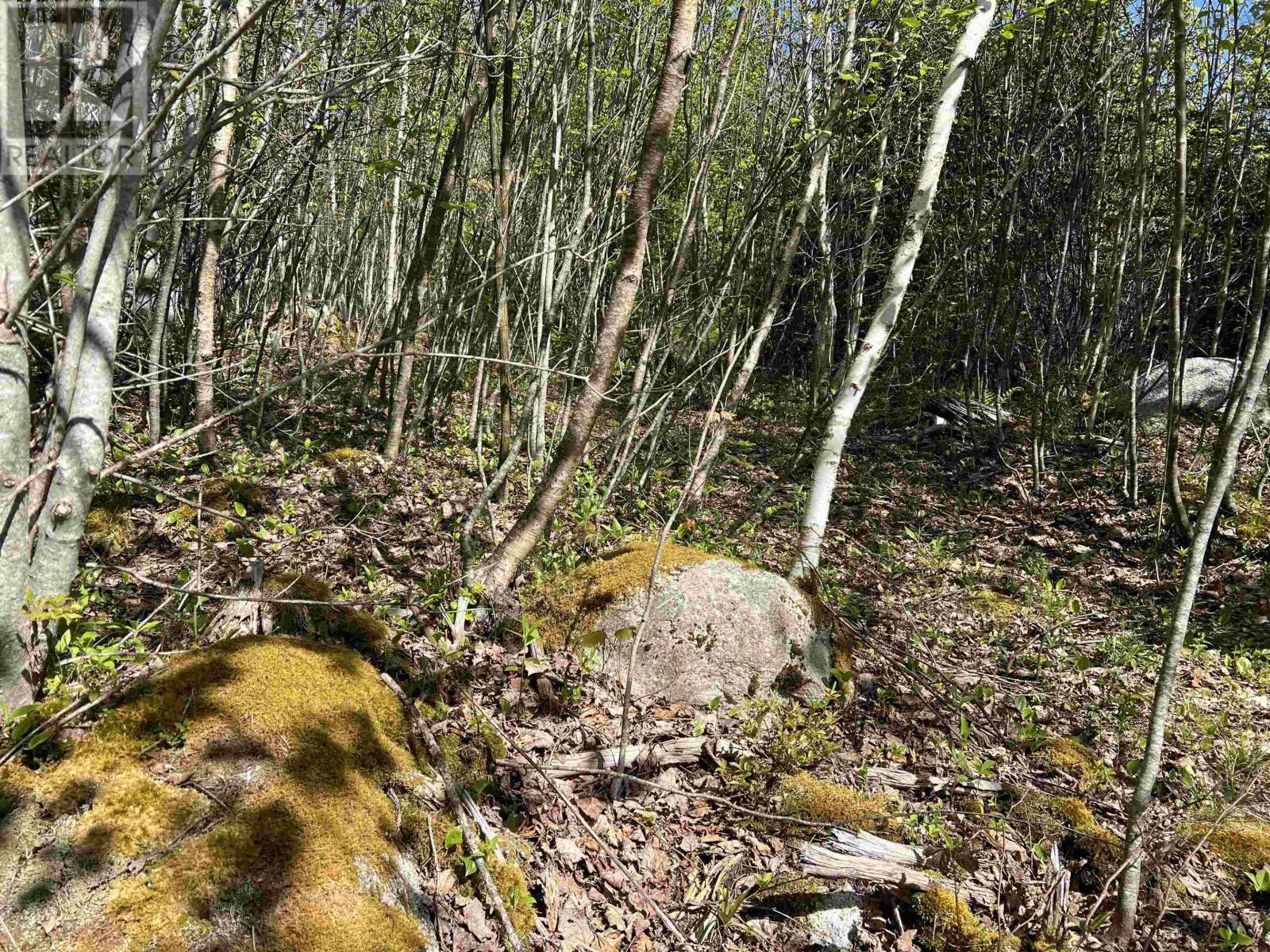 Lot 2a Highway 329, Deep Cove, Nova Scotia  B0J 1T0 - Photo 8 - 202514361