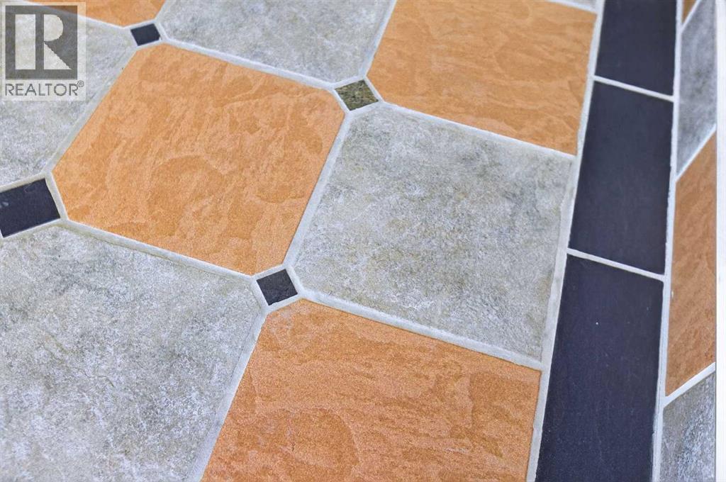 417 Frederick Avenue W, Standard, Alberta  T0J 3G0 - Photo 5 - A2283960