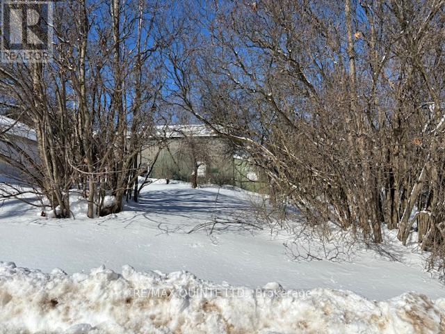 55 Nelson Street, Centre Hastings, Ontario  K0K 2K0 - Photo 4 - X12761418