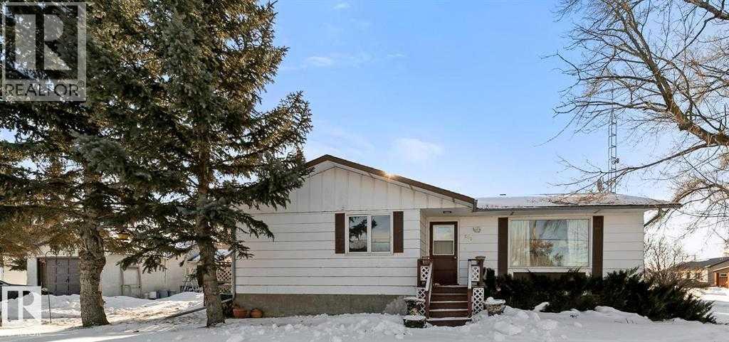5037 54 Street, Daysland, Alberta  T0B 1A0 - Photo 1 - A2283023