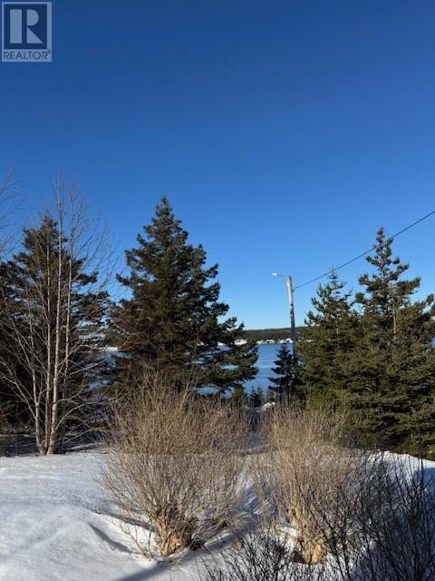 192 Main Road, St. Josephs, Newfoundland & Labrador  A0B 3A0 - Photo 25 - 1294272