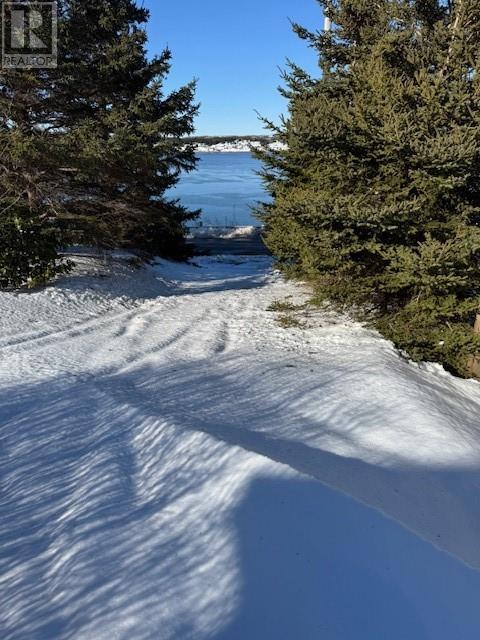 192 Main Road, St. Josephs, Newfoundland & Labrador  A0B 3A0 - Photo 27 - 1294272