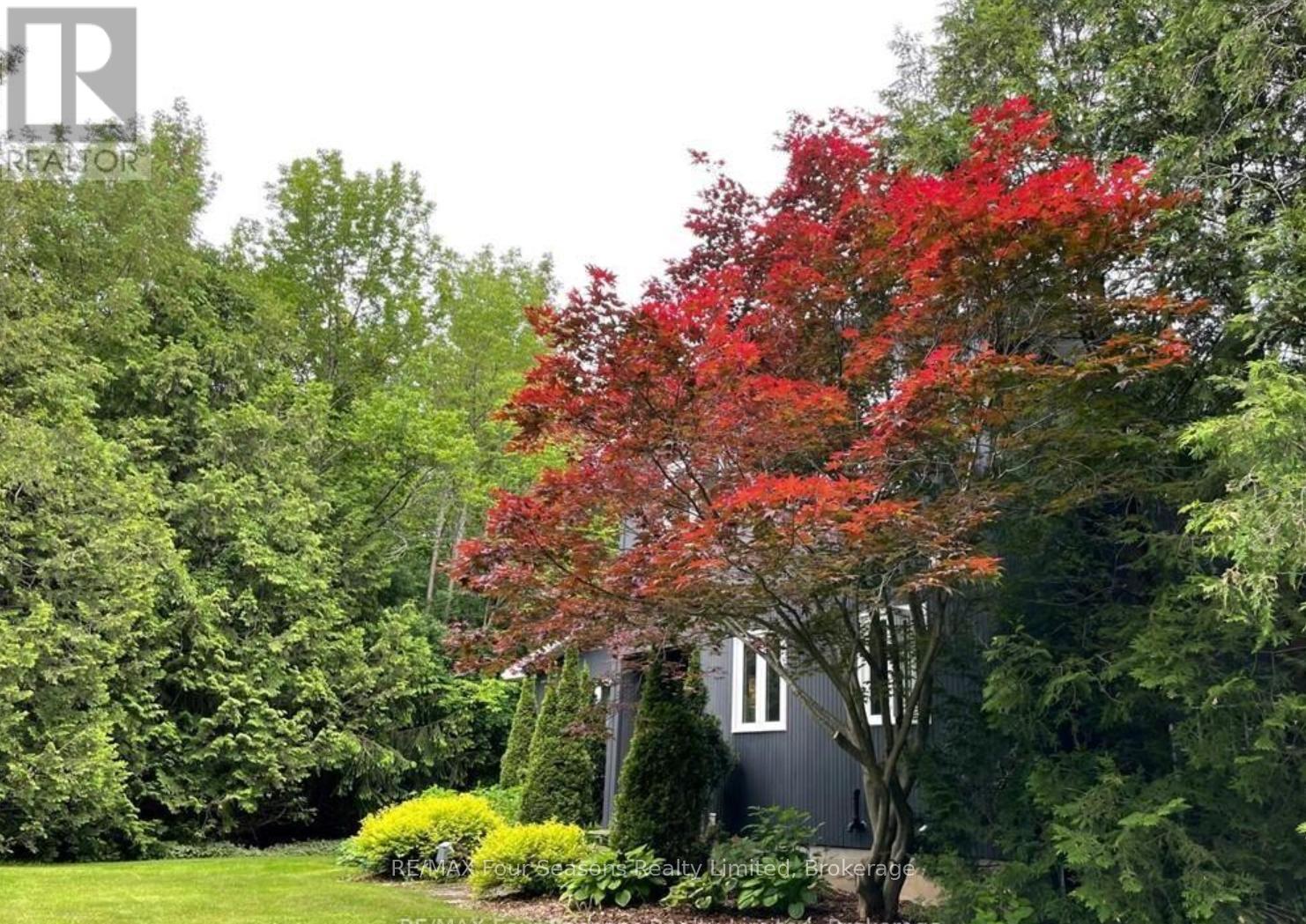 516666 7th Line, Blue Mountains, Ontario  N0H 1J0 - Photo 2 - X12761656