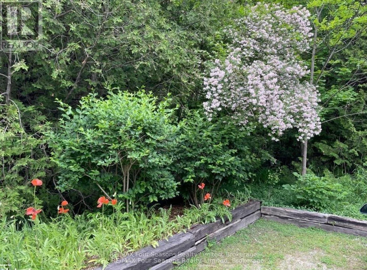 516666 7th Line, Blue Mountains, Ontario  N0H 1J0 - Photo 40 - X12761656