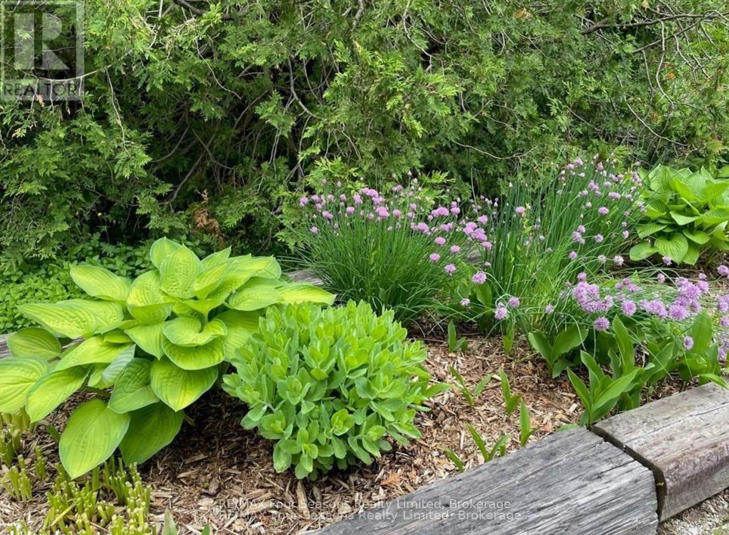 516666 7th Line, Blue Mountains, Ontario  N0H 1J0 - Photo 37 - X12761656