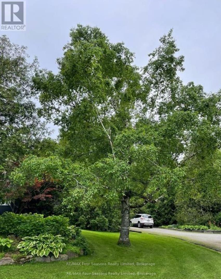 516666 7th Line, Blue Mountains, Ontario  N0H 1J0 - Photo 38 - X12761656