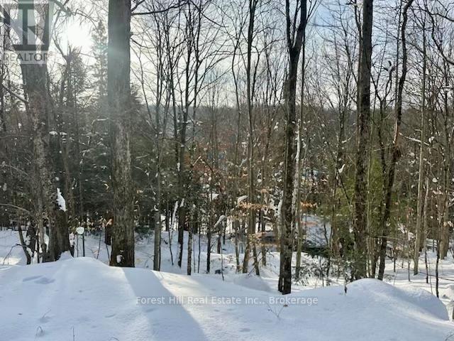 1107 Crane Lake Road, Algonquin Highlands, Ontario  P0A 1E0 - Photo 38 - X12758824