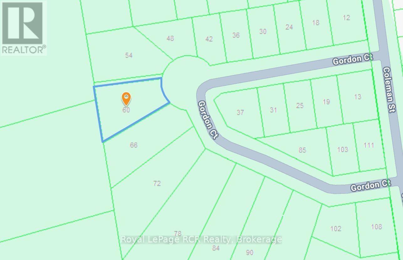 60 Gordon Crescent, Meaford, Ontario  N4L 0A9 - Photo 4 - X12761874