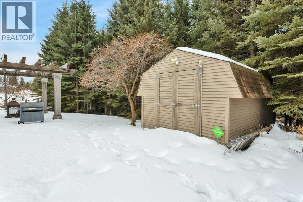 7206 61 Street, Rocky Mountain House, Alberta  T4T 0A3 - Photo 6 - A2262988