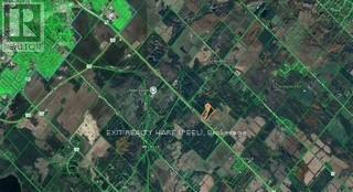 20383 Hurontario Street, Caledon, Ontario  L7K 1W8 - Photo 4 - W12761788